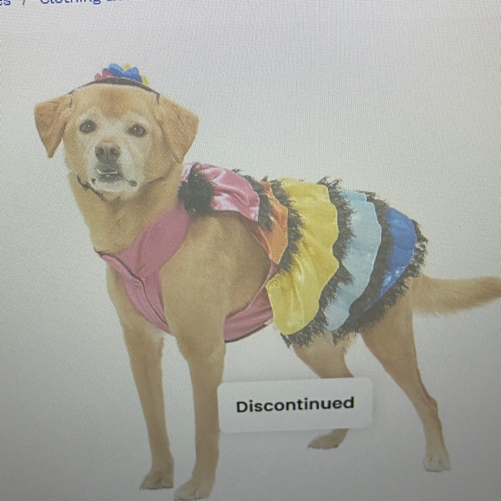 Colorful Dog Costume